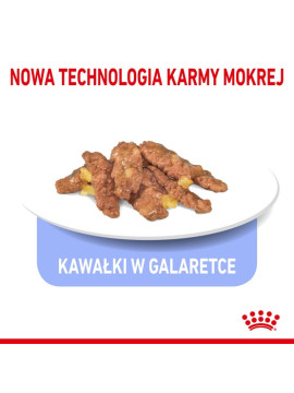 Royal Canin Indoor Sterilised Jelly karma mokra dla kotów dorosłych sterylizowanych, przebywających w domu saszetka 85g