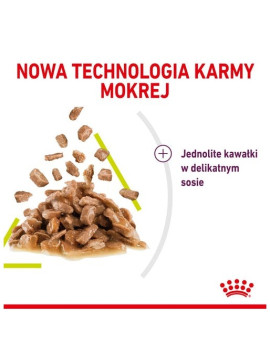 Royal Canin Sensory Smell w sosie karma mokra dla kotów dorosłych saszetka 85g
