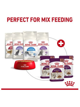 Royal Canin Sensory Smell w sosie karma mokra dla kotów dorosłych saszetka 85g