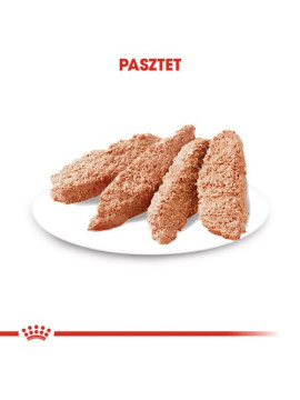 Royal Canin Sterilised karma mokra dla psów dorosłych, wszystkich ras po sterylizacji, pasztet saszetka 85g