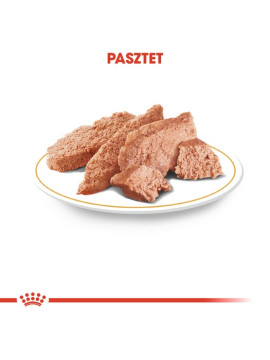 Royal Canin Chihuahua Adult karma mokra – pasztet, dla psów dorosłych rasy chihuahua saszetka 85g