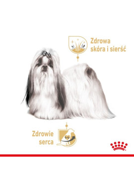 Royal Canin Shih Tzu Adult karma mokra dla psów dorosłych rasy shih tzu saszetka 85g