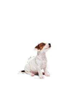 Royal Canin Mini Puppy karma mokra w sosie dla szczeniąt, od 2 do 10 miesiąca życia, ras małych saszetka 85g