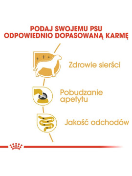 Royal Canin Yorkshire Terrier Adult karma mokra - pasztet, dla psów dorosłych rasy yorkshire terrier saszetka 85g