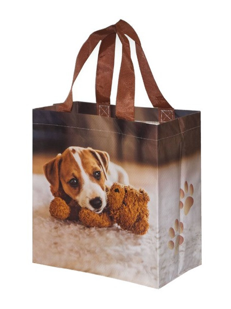 Torba Mini Piesek 10L