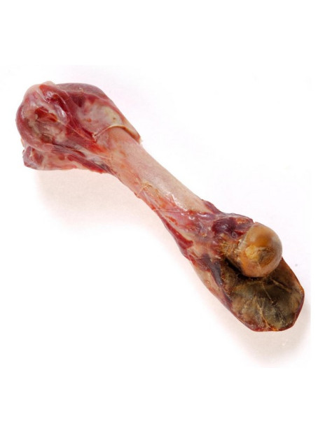 Zolux Kość z szynki parmeńskiej L 370g