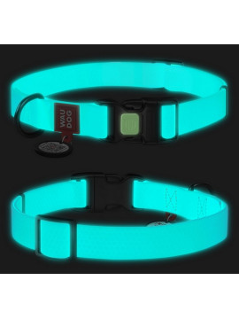 Collar WauDog Waterproof Obroża wodoodporna z QR-paszportem, akumulująca światło, plastikowy fastex, 15mm/25-35cm