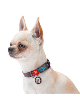 Collar WauDog Nylon Obroża nylonowa z QR-paszportem, plastikowy fastex, wzór LATO, 25mm/37-58cm