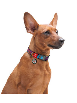 Collar WauDog Nylon Obroża nylonowa z QR-paszportem, plastikowy fastex, wzór LATO, 25mm/37-58cm