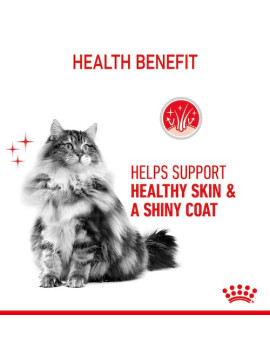 Royal Canin Hair&Skin Care karma sucha dla kotów dorosłych, lśniąca sierść i zdrowa skóra 4kg