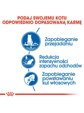 Royal Canin Indoor Apetite Control karma sucha dla kotów dorosłych, przebywających w domu, domagających się jedzenia 2kg