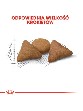 Royal Canin Indoor Apetite Control karma sucha dla kotów dorosłych, przebywających w domu, domagających się jedzenia 2kg
