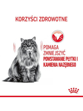 Royal Canin Dental Care karma sucha dla kotów dorosłych, redukująca odkładanie kamienia nazębnego 400g