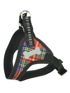 Champion Szelki taśma 30 komfort [TSZ]