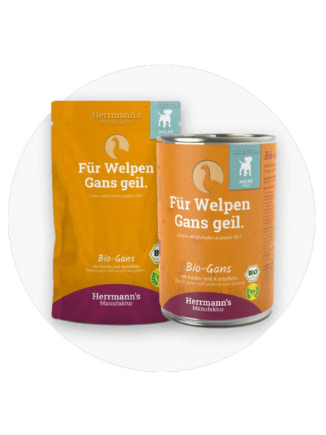 Karma ekologiczna dla szczeniąt BIO Gęś z dynią saszetka 150g