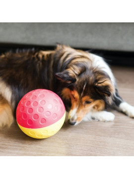 Nina Ottosson Dog Treat Tumble Large 13cm - gra edukacyjna [67327]