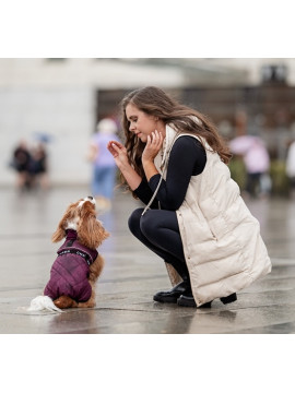 Chaba Kubrak Regulowany Chic S burgundy