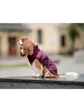 Chaba Kubrak Regulowany Chic S burgundy