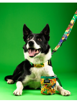 CHABA Smycz regulowana Story III S 16mm/260cm Jumbo