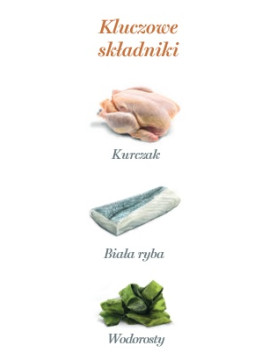 Amanova Cat Kitten Chicken & Fish - kurczak i biała ryba saszetka 85g [P09]