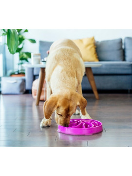 Outward Hound Fun Feeder Miska spowalniająca fioletowa [51003]