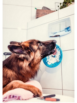 LickiMat Splash miska z przyssawką turkusowa