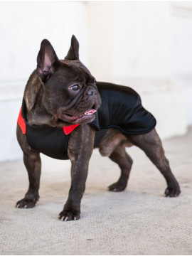 Chaba Ubranko regulowane Wear Magnifique 2XL czerwone