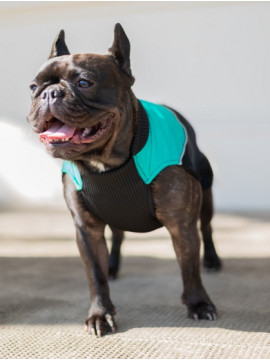 Chaba Ubranko regulowane Wear Magnifique 2XL zielone