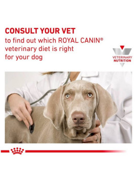 Royal Canin Veterinary Diet Canine Gastrointestinal Low Fat Small 3,5kg