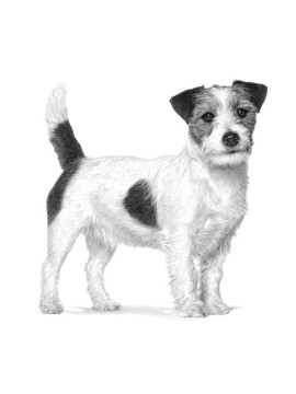 Royal Canin Veterinary Diet Canine Anallergenic Small 1,5kg