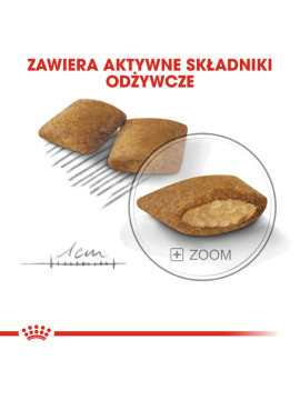 Royal Canin Mini Exigent karma sucha dla psów dorosłych, ras małych, wybrednych 3kg