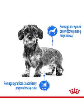 Royal Canin Mini Light Weight Care karma sucha dla psów dorosłych, ras małych z tendencją do nadwagi 1kg