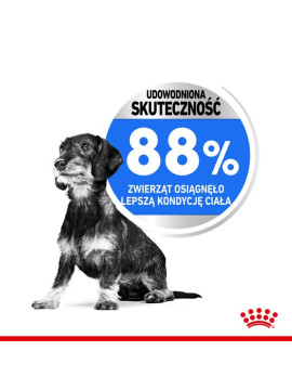 Royal Canin Mini Light Weight Care karma sucha dla psów dorosłych, ras małych z tendencją do nadwagi 1kg