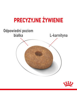Royal Canin Mini Light Weight Care karma sucha dla psów dorosłych, ras małych z tendencją do nadwagi 1kg