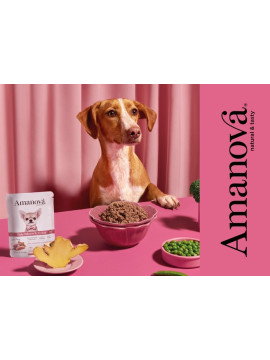Amanova Dog Adult Tasty Salmon & Turkey - łosoś i indyk saszetka 100g [P06]