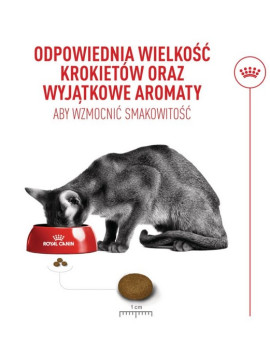 Royal Canin Fussy Exigent karma sucha dla kotów dorosłych, wybrednych 2kg
