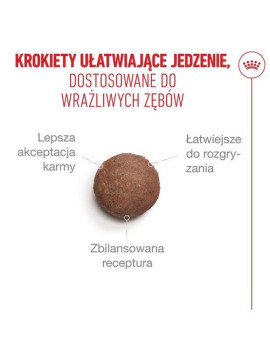 Royal Canin Ageing +15 karma sucha dla kotów dojrzałych 400g