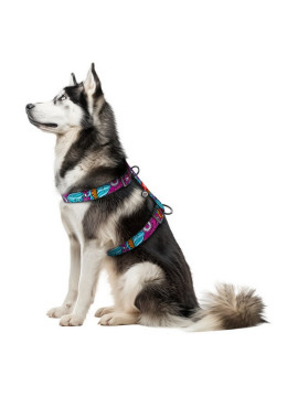 Collar WauDog Nylon Szelki nylonowe anatomiczne w kształcie litery H, z QR-paszportem, plastikowy fastex, wzór LATO, rozmiar XL 