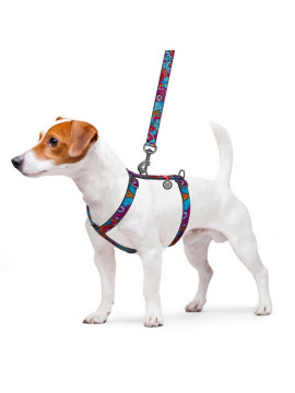 Collar WauDog Nylon Szelki nylonowe anatomiczne w kształcie litery H, z QR-paszportem, plastikowy fastex, wzór LATO, rozmiar M 2
