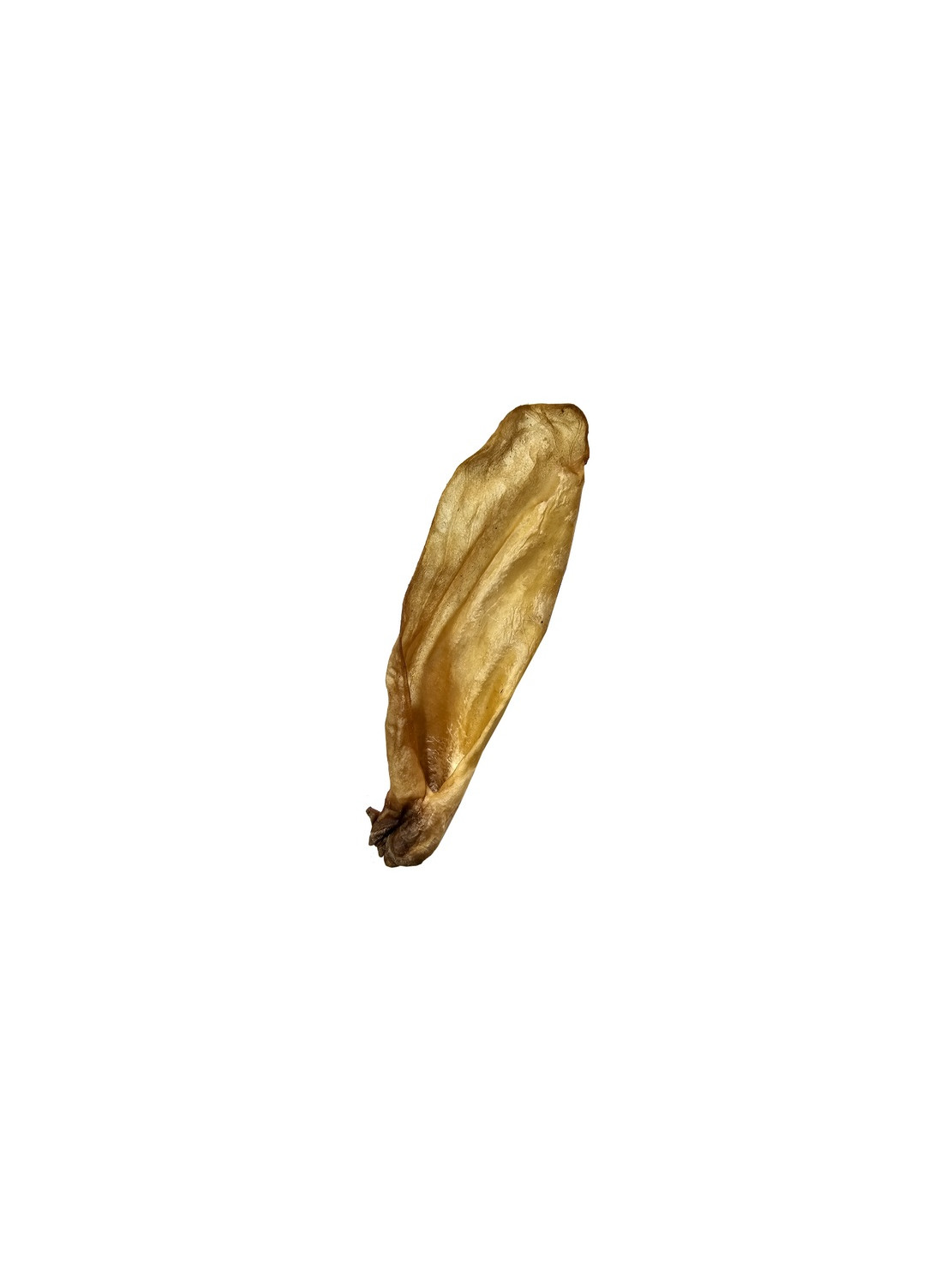 4DOGS Ucho kozy 200g