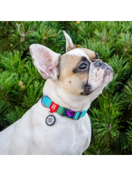 Collar WauDog Recycled Obroża nylonowa z QR-paszportem, gradient M 20mm x 28-40cm niebieski