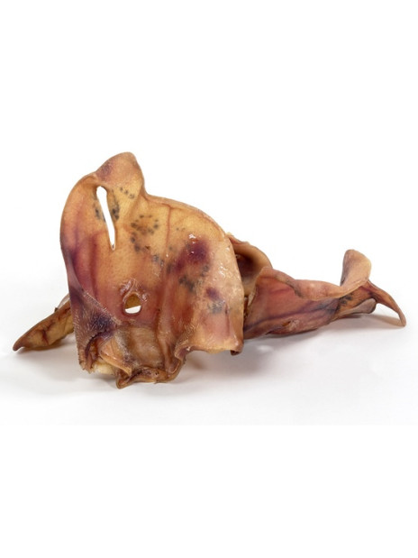 Bult Wędzone ucho wieprzowe 10szt