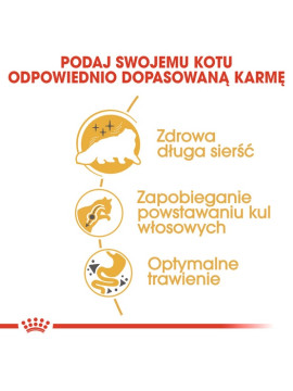 Royal Canin Persian Adult karma sucha dla kotów dorosłych rasy perskiej 2kg