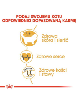 Royal Canin Ragdoll Adult karma sucha dla kotów dorosłych rasy ragdoll 400g