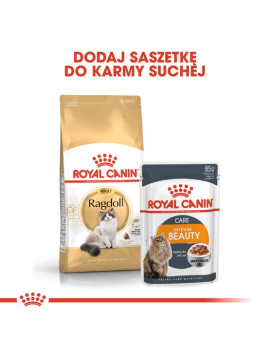 Royal Canin Ragdoll Adult karma sucha dla kotów dorosłych rasy ragdoll 400g