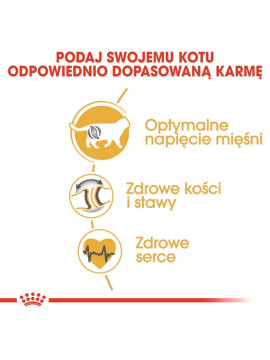 Royal Canin British Shorthair Adult karma sucha dla kotów dorosłych rasy brytyjski krótkowłosy 400g
