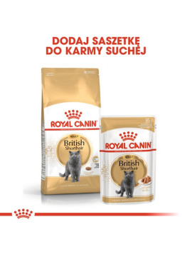 Royal Canin British Shorthair Adult karma sucha dla kotów dorosłych rasy brytyjski krótkowłosy 400g