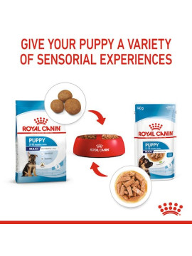 Royal Canin Maxi Puppy karma mokra w sosie dla szczeniąt, od 2 do 15 miesiąca życia, ras dużych saszetka 140g