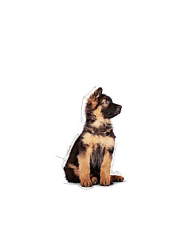Royal Canin Maxi Puppy karma mokra w sosie dla szczeniąt, od 2 do 15 miesiąca życia, ras dużych saszetka 140g
