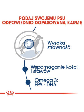 Royal Canin Maxi Adult karma mokra w sosie dla psów dorosłych, do 5 roku życia, ras dużych saszetka 140g